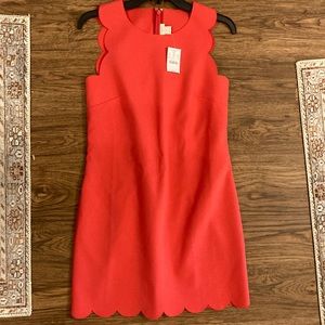 NWT Jcrew FactoryDress Size 2